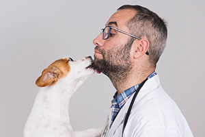 dog licking doctors face partnership